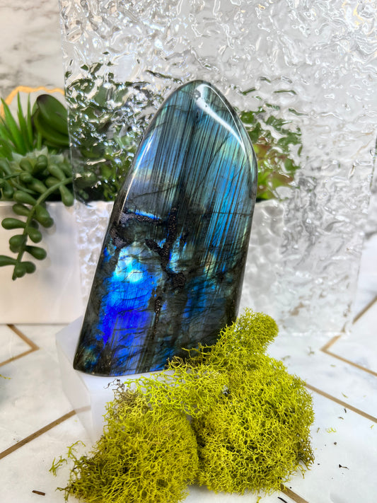 Labradorite freeform (Blue)